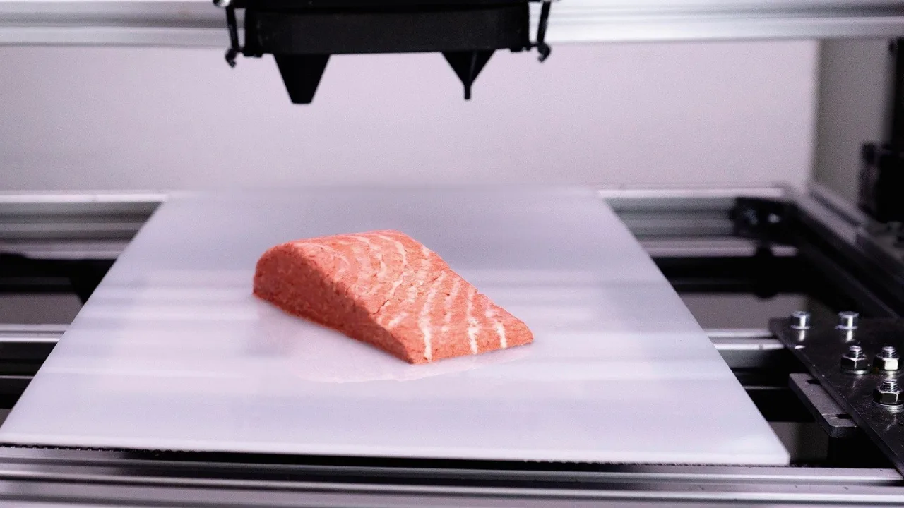 3D yazıcı ile et üretmek: Yeni yiyecek kültürü – görsel 3 3D yazıcı ile et üretmek: Yeni yiyecek kültürü – görsel 3