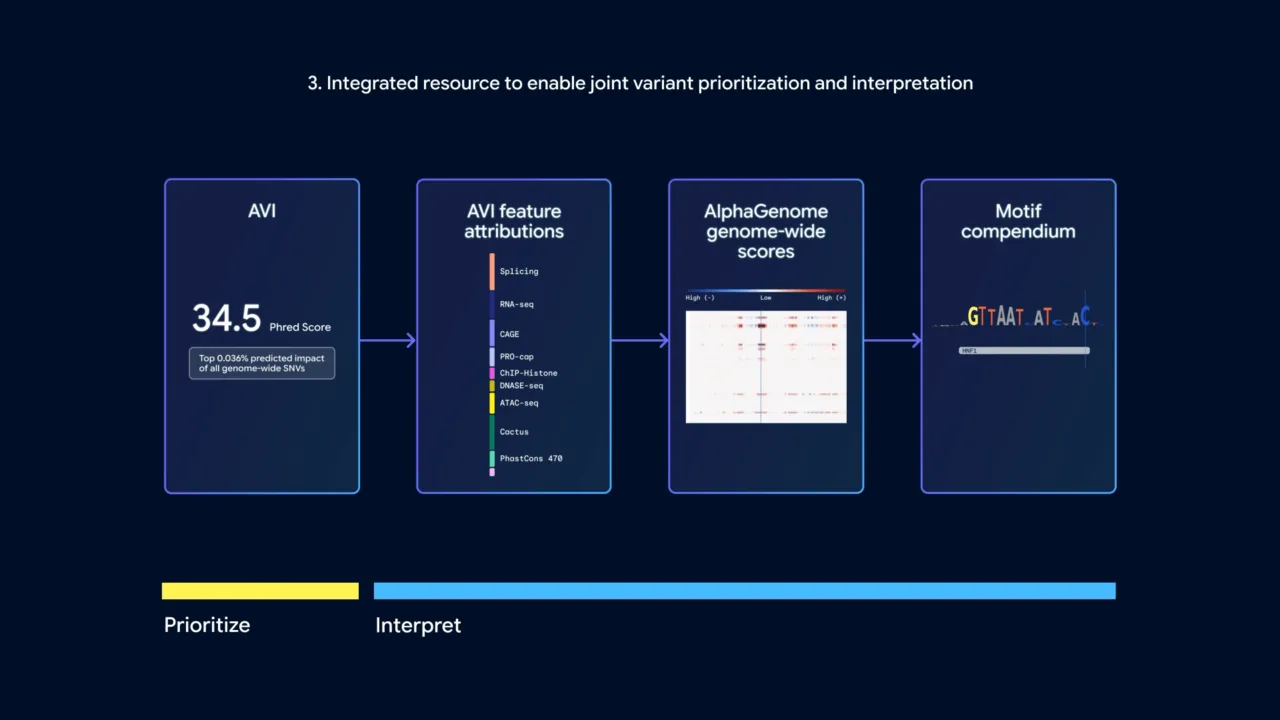Google DeepMind, AlphaGenome Atlas’ı tanıttı Google DeepMind, AlphaGenome Atlas’ı tanıttı