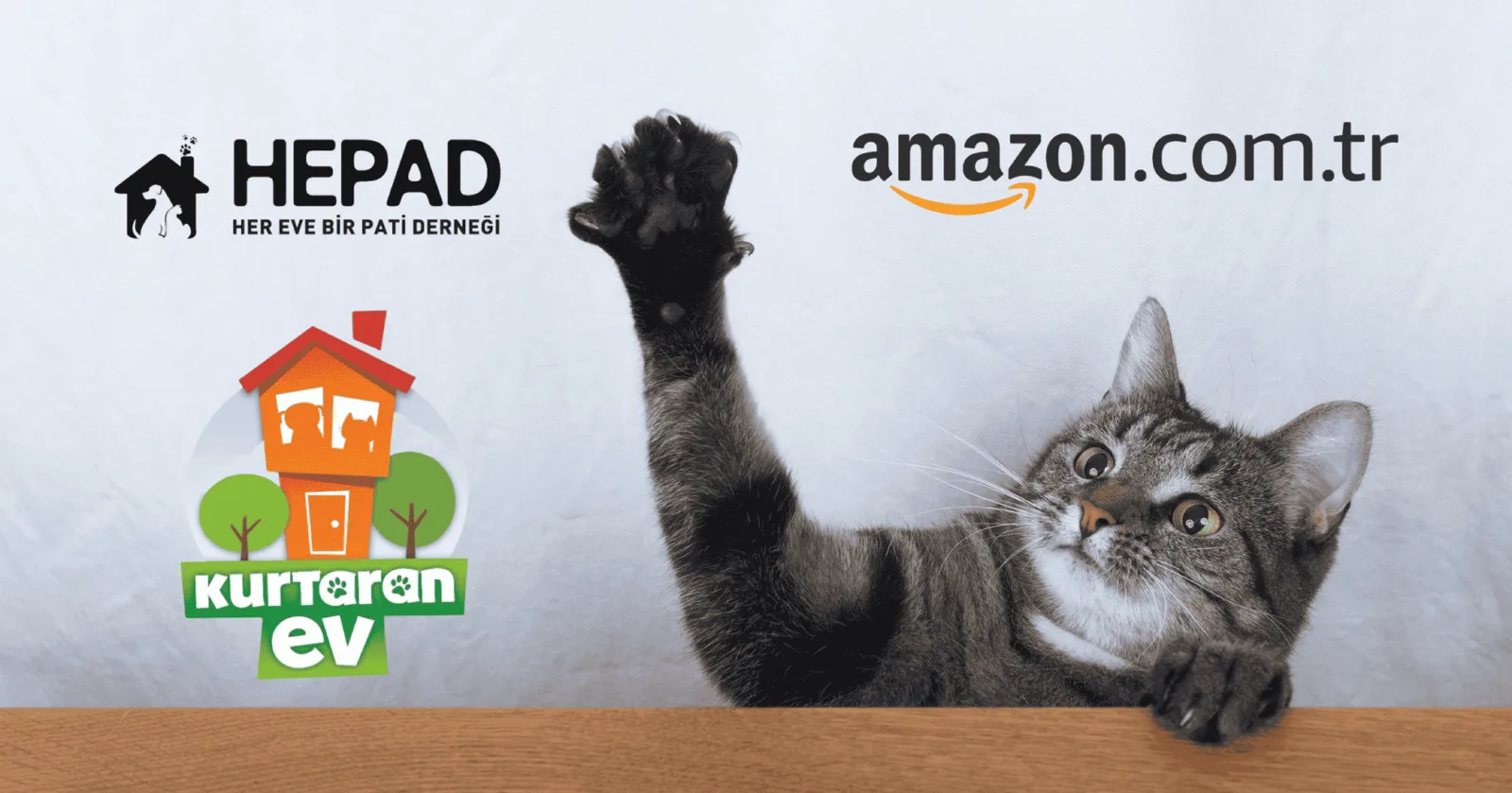 Amazon Türkiye oluşturdu