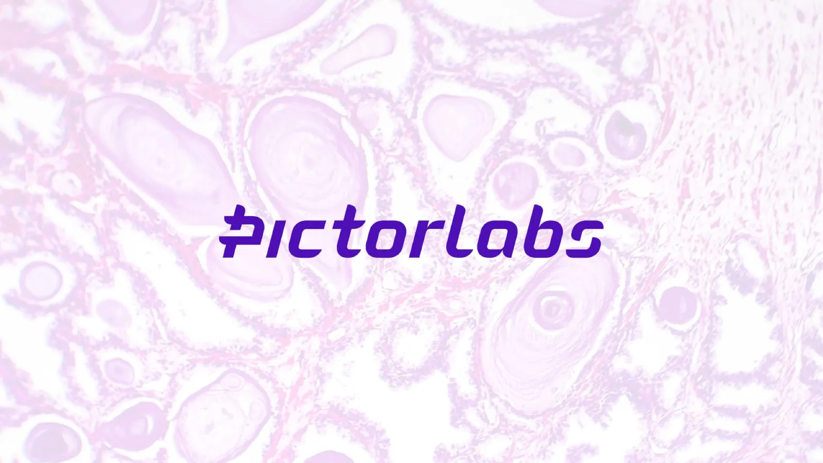Dijital patoloji girişimi PictorLabs, 15.2 milyon dolar yatırım aldı