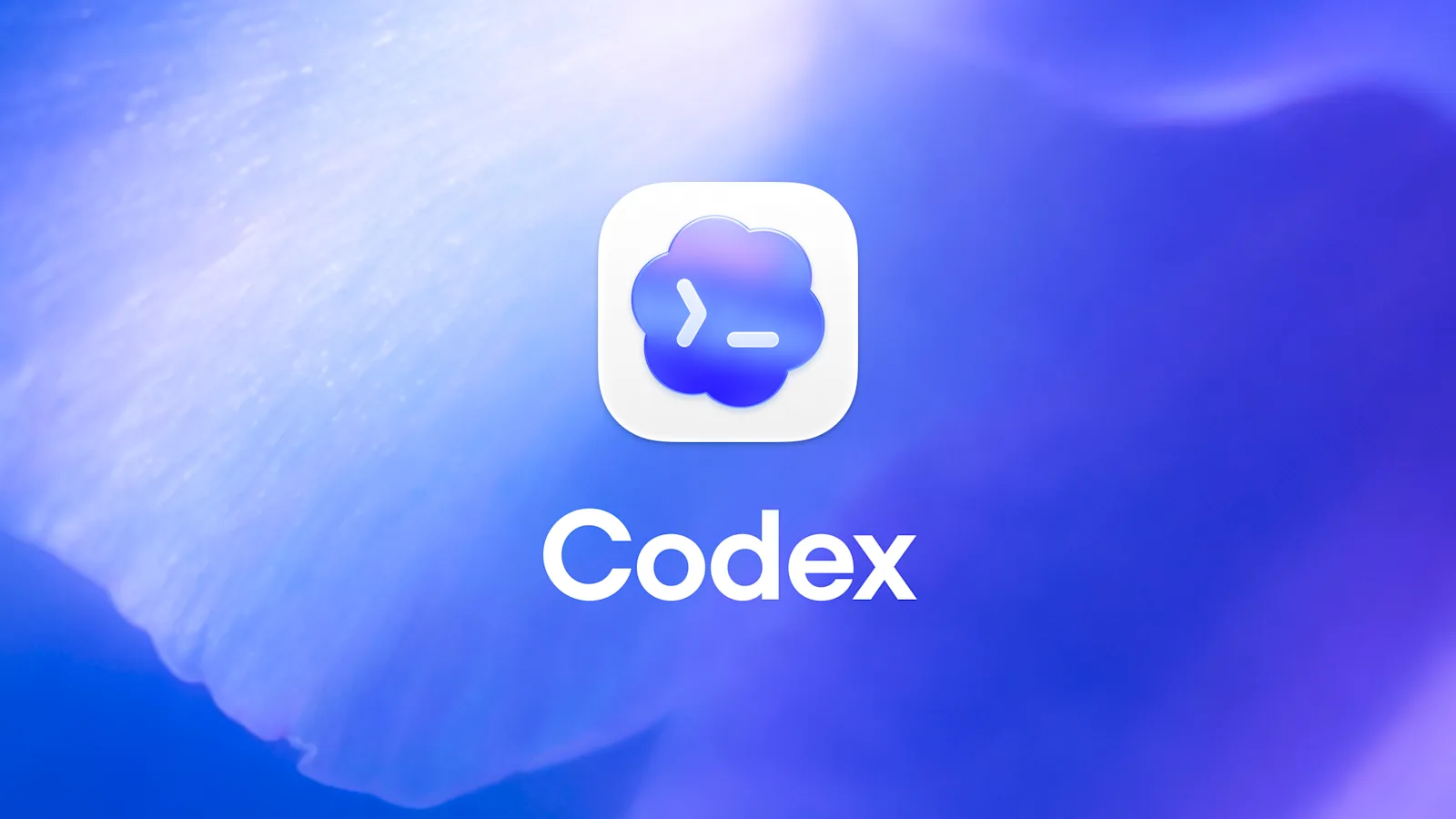 OpenAI, Codex uygulamasını superapp'e dönüştürdü