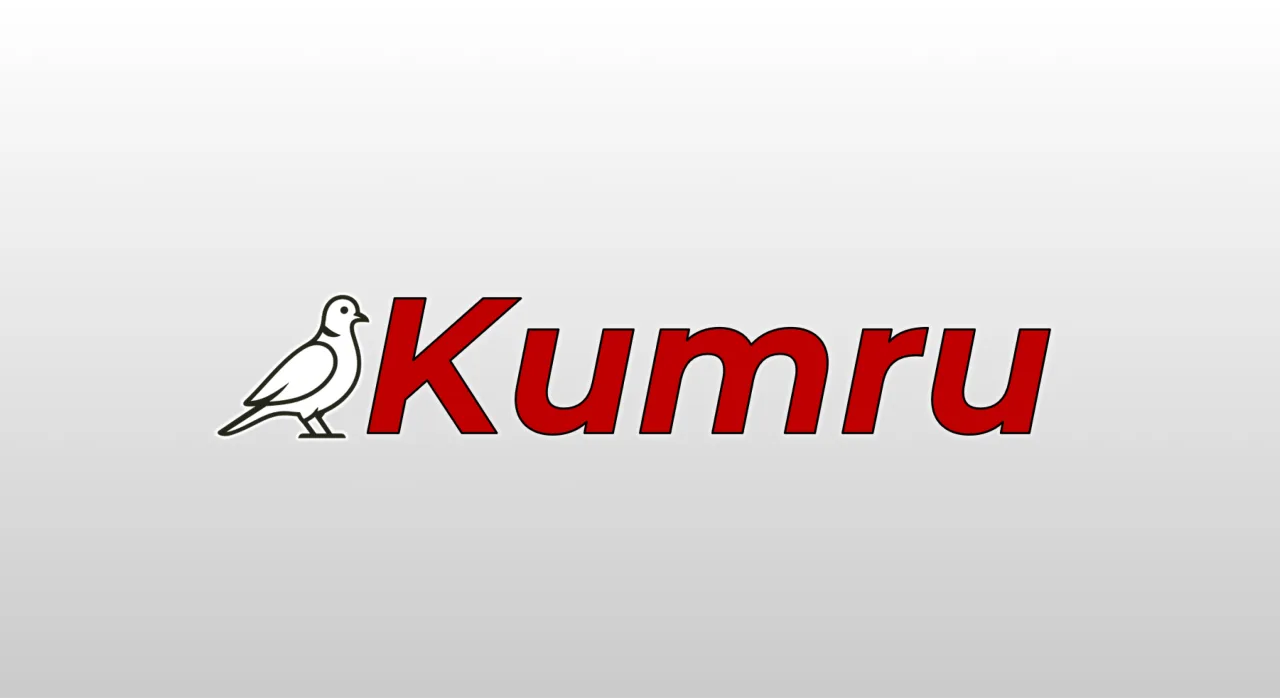 Yerli yapay zeka modeli Kumru, kullanıma sunuldu Yerli yapay zeka modeli Kumru, kullanıma sunuldu