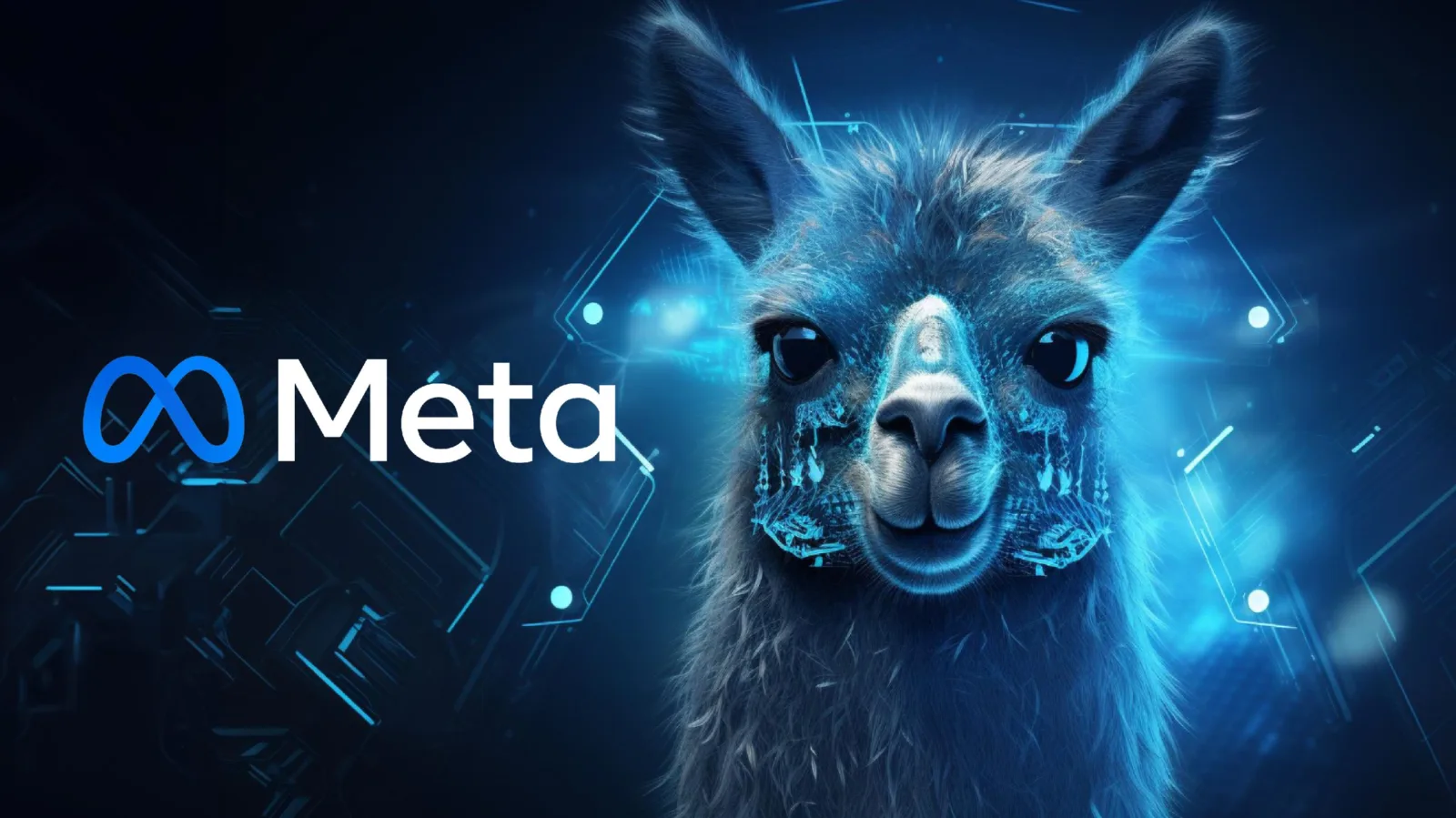 llama