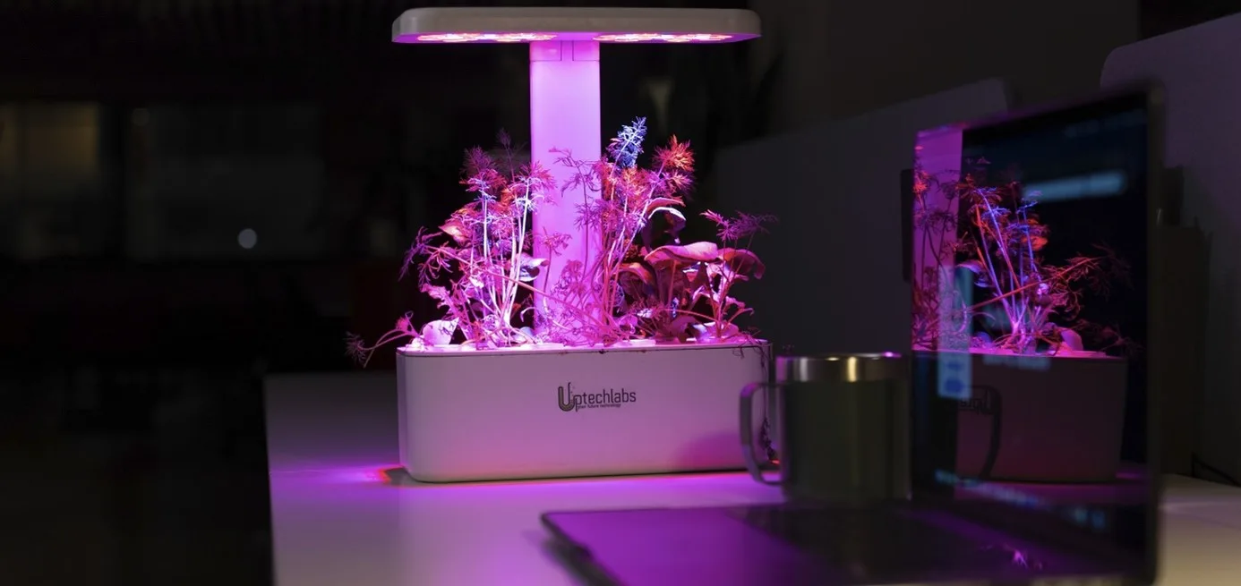 Topraksız tarımı teknolojiyle buluşturan girişim: Uptechlabs