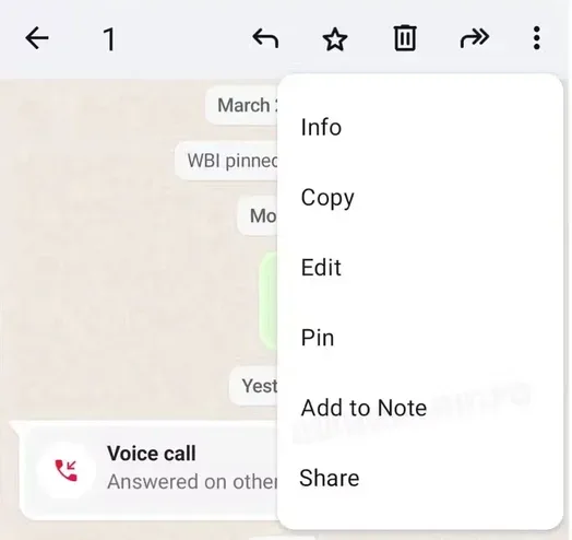 WhatsApp, işletme hesapları ve sesli mesajlar için yeni özellikler sunuyor – görsel 1 WhatsApp, işletme hesapları ve sesli mesajlar için yeni özellikler sunuyor – görsel 1