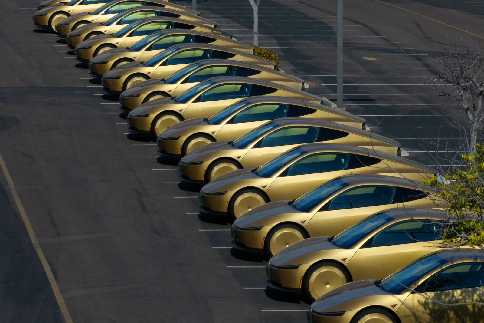 Tesla'nın direksiyonsuz otomobili Cybercab, yıl sonunda satışa çıkacak Tesla'nın direksiyonsuz otomobili Cybercab, yıl sonunda satışa çıkacak