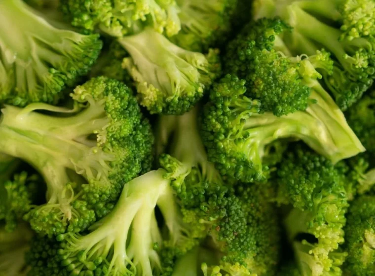 online-diyetisyenlik-platformu-fit-brokoli-400-bin-dolar-yatirim-aldi